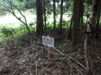 栃木県那須郡那須町大字漆塚の売地の画像