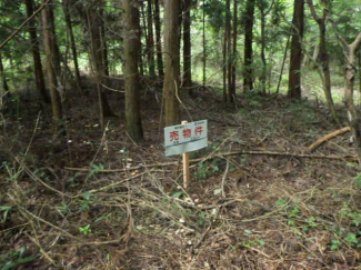 栃木県那須郡那須町大字漆塚の売地の画像