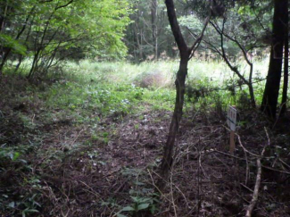 栃木県那須郡那須町大字漆塚の売地の画像