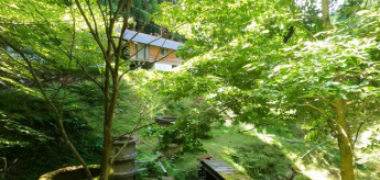 テラスから見える景色です。目の前には小川が流れており、夏場でも涼しく過ごすことができます。