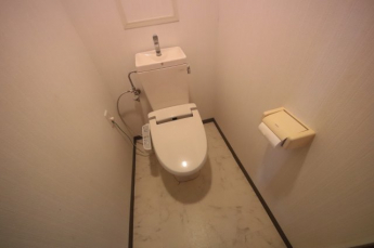 シンプルで使いやすいトイレです