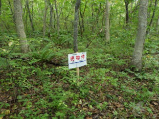 北海道茅部郡鹿部町字本別の売地の画像