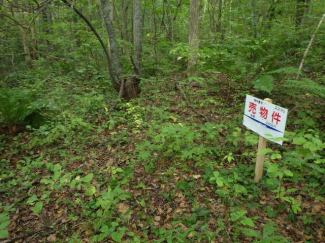 北海道茅部郡鹿部町字本別の売地の画像