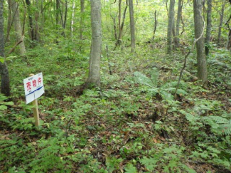 北海道茅部郡鹿部町字本別の売地の画像