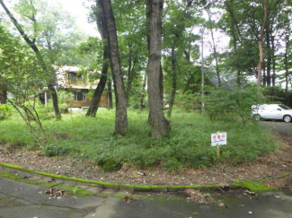 栃木県那須郡那須町大字大島の売地の画像