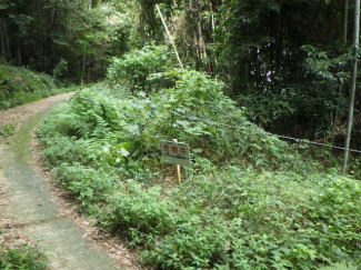 茨城県かすみがうら市安食の売地の画像