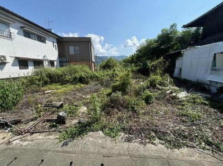 大洲市菅田町菅田甲の売地の画像