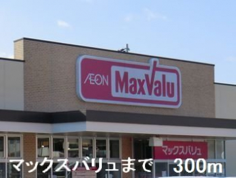 マックスバリュまで300m