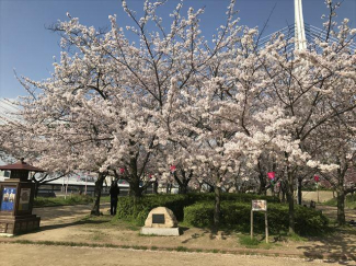 天保山公園まで50m