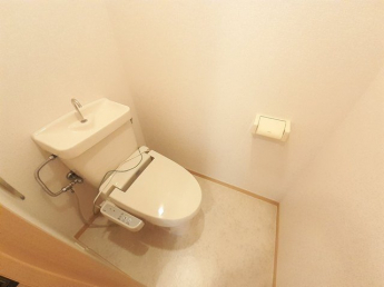 ゆったりとした空間のトイレです