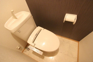 落ち着いた色調のトイレです