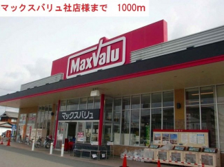 マックスバリュー社店まで1000m