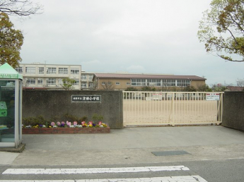 津田小学校まで800ｍ