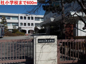 市立社小学校まで600m