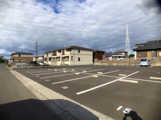 シンプルＮの画像