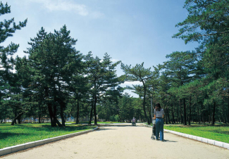 浜の宮公園。市民プールが隣接する広大な広さの公園。ご家族やペットとのお散歩等気軽に利用されています。まで120m