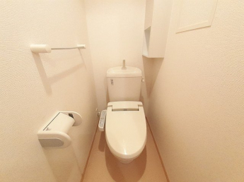 落ち着いた色調のトイレです