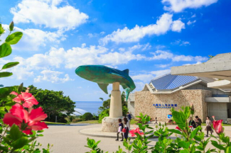 美ら海水族館　車で１４分まで7600m