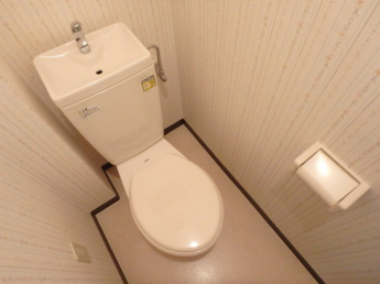 ゆったりとした空間のトイレです