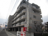 松山市来住町のマンションの画像