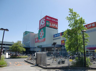 ライフ高槻城西店まで316m