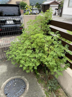 松山市河野中須賀の中古一戸建ての画像