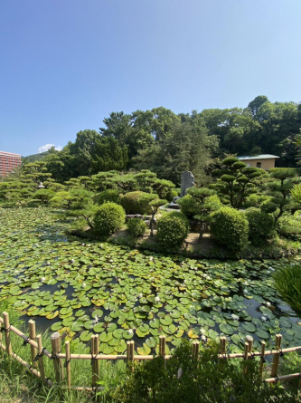 道後公園まで600m