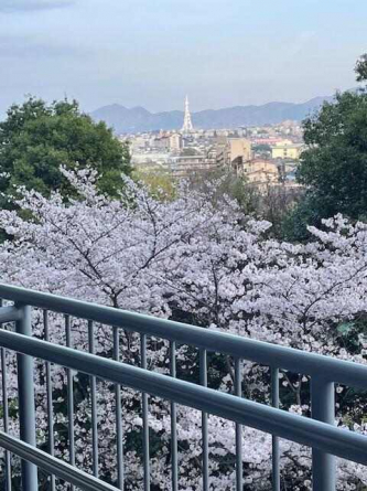 藤和さやまハイタウンＢ棟の画像