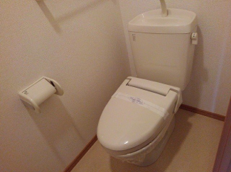 コンパクトで使いやすいトイレです