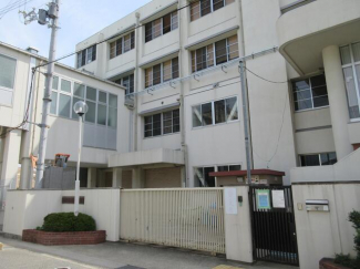 羽曳野市立古市小学校まで196m