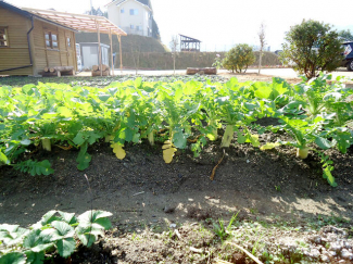 新居浜市東田３丁目の売地の画像