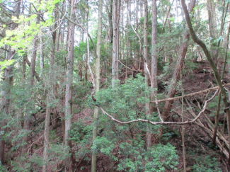 三重県伊賀市奥鹿野の売地の画像