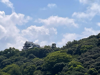 バルコニーから松山城を臨みます♪