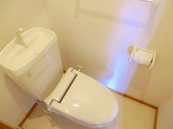 落ち着いた色調のトイレです