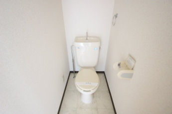 落ち着いたトイレです