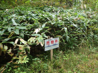 岩手県岩手郡雫石町長山岩手山の売地の画像