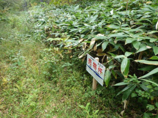 岩手県岩手郡雫石町長山岩手山の売地の画像