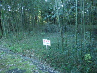 栃木県那須郡那須町大字寺子丙の売地の画像