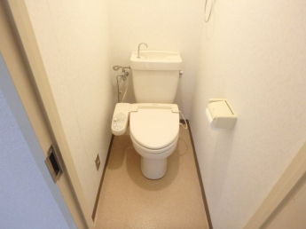 落ち着いた色調のトイレです