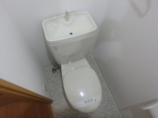 落ち着いた色調のトイレです