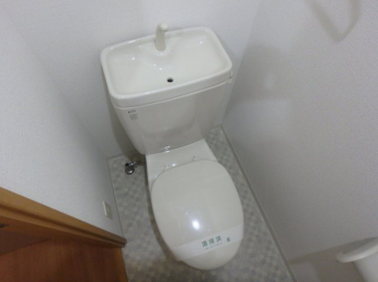 落ち着いた色調のトイレです