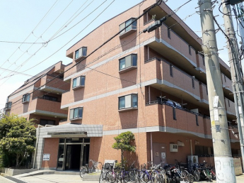 外観は落ち着いています