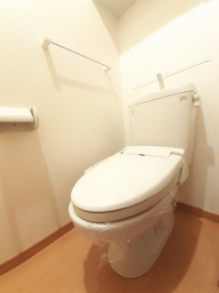 落ち着いた色調のトイレです