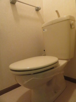 落ち着いた色調のトイレです