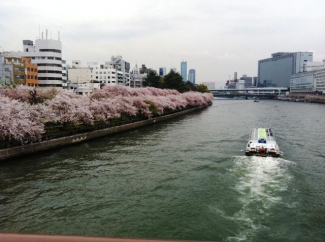 近くを流れる大川の景色（桜の頃・・・）