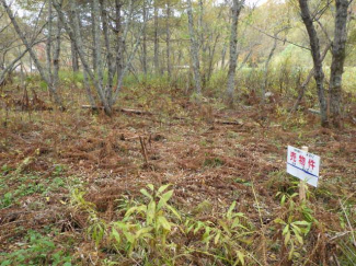 北海道釧路郡釧路町別保東２丁目の売地の画像