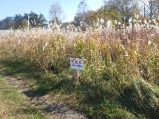 北海道河東郡音更町字下音更北７線西の売地の画像