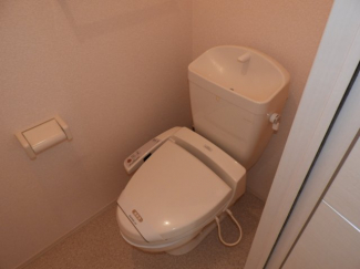 落ち着いた色調のトイレです