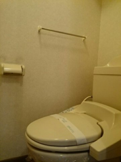 落ち着いた色調のトイレです