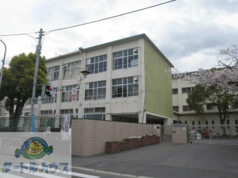 四條畷市立くすのき小学校まで1017m